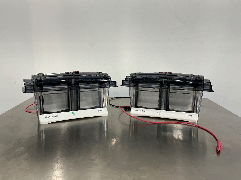 Image of Invitrogen Mini Gel Tank x2